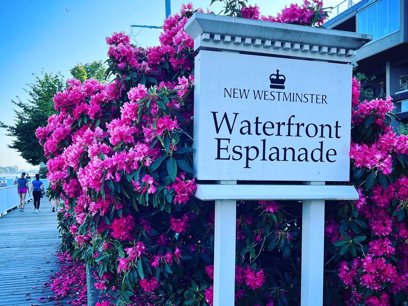 Requalificación del frente costero y espacio público, New Westminster, Columbia Británica